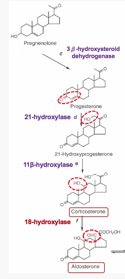 5cfdc799cd1ca.jpg#s-420,936