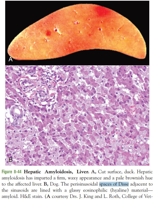 5cfee965a75d7.jpg#s-653,845