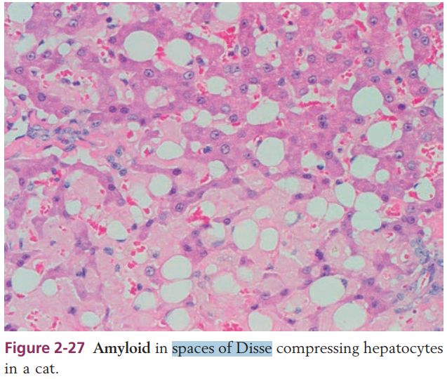 5cfee98056095.jpg#s-637,540