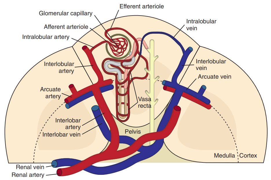 5cfeead9a76d2.jpg#s-936,625