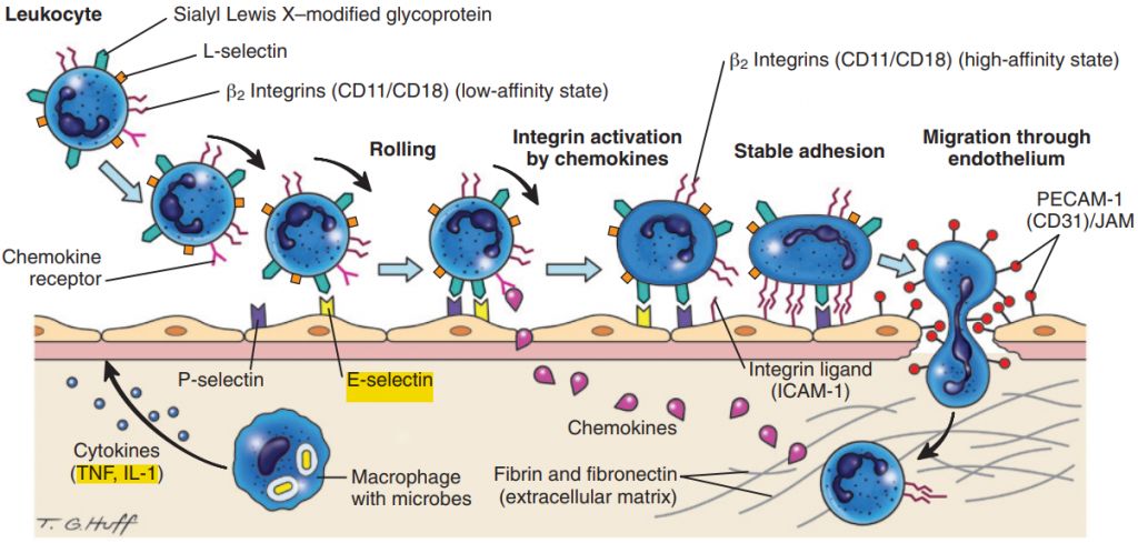 5d0b31fd1a90e.jpg#s-1024,489