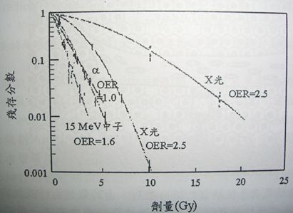 5d0c63ed05ce6.jpg#s-411,299