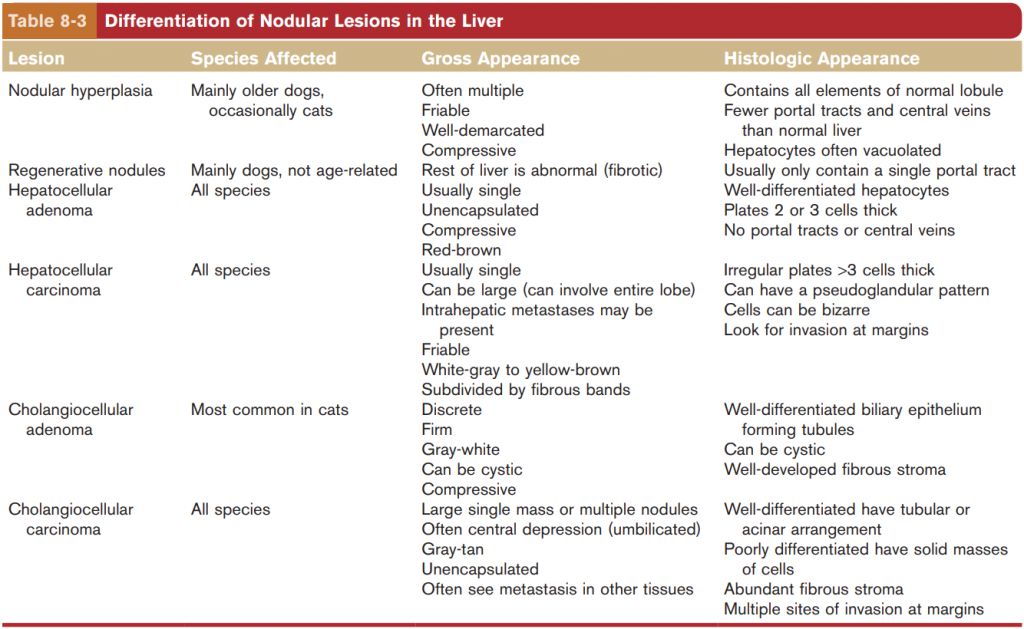 5d0ccc8576682.jpg#s-1024,629