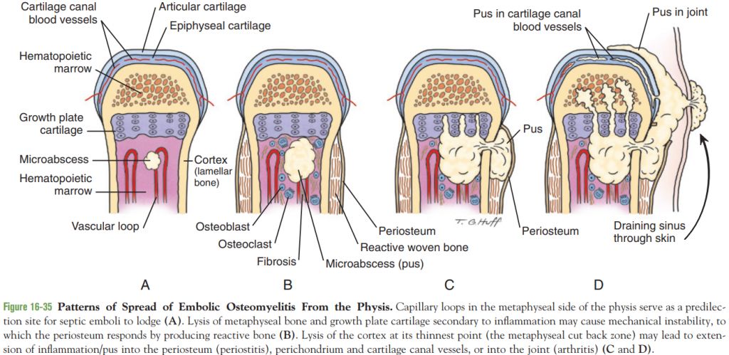 5d0cce0d3d829.jpg#s-1024,499