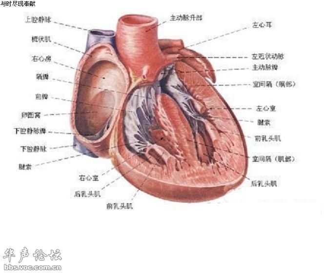 5d0e315b718d5.jpg#s-666,560