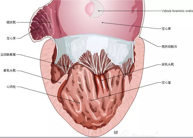 5d0e33247ed38.jpg#s-662,474