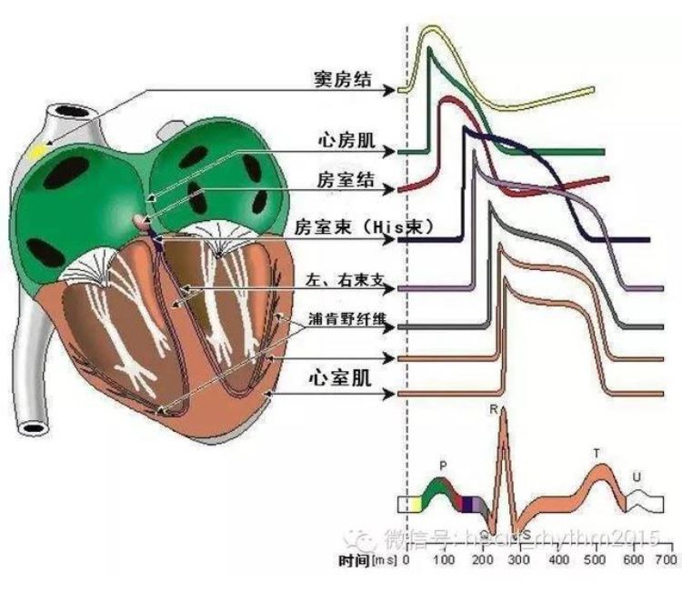 5d102dfc9b377.jpg#s-750,662
