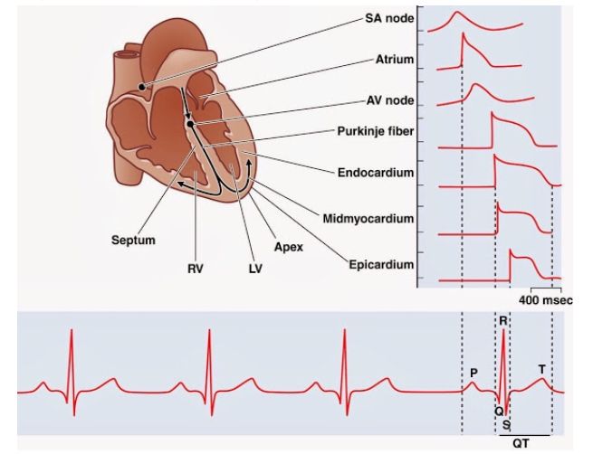 5d102e9893f3d.jpg#s-655,502