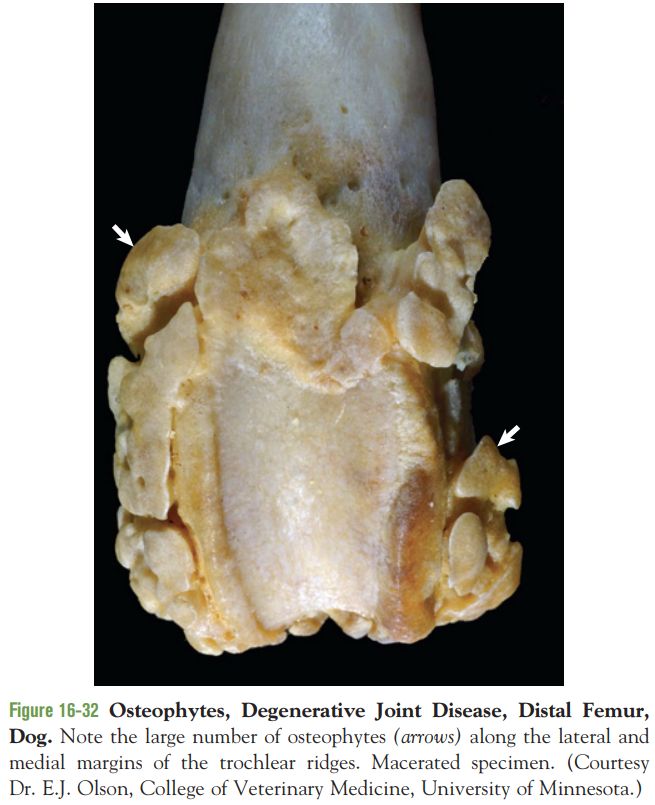 5d10bfc9d0432.jpg#s-655,805