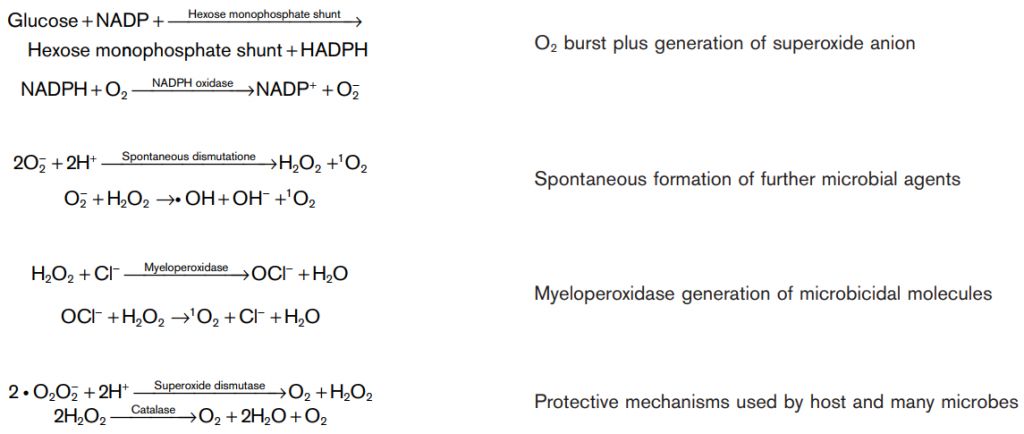 5d10c0fdecd9f.jpg#s-1024,434