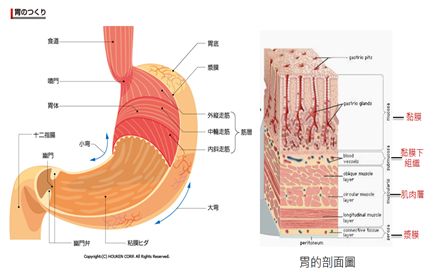 5d12382e03d4c.jpg#s-433,272