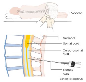 5d12eef97fe16.jpg#s-341,326