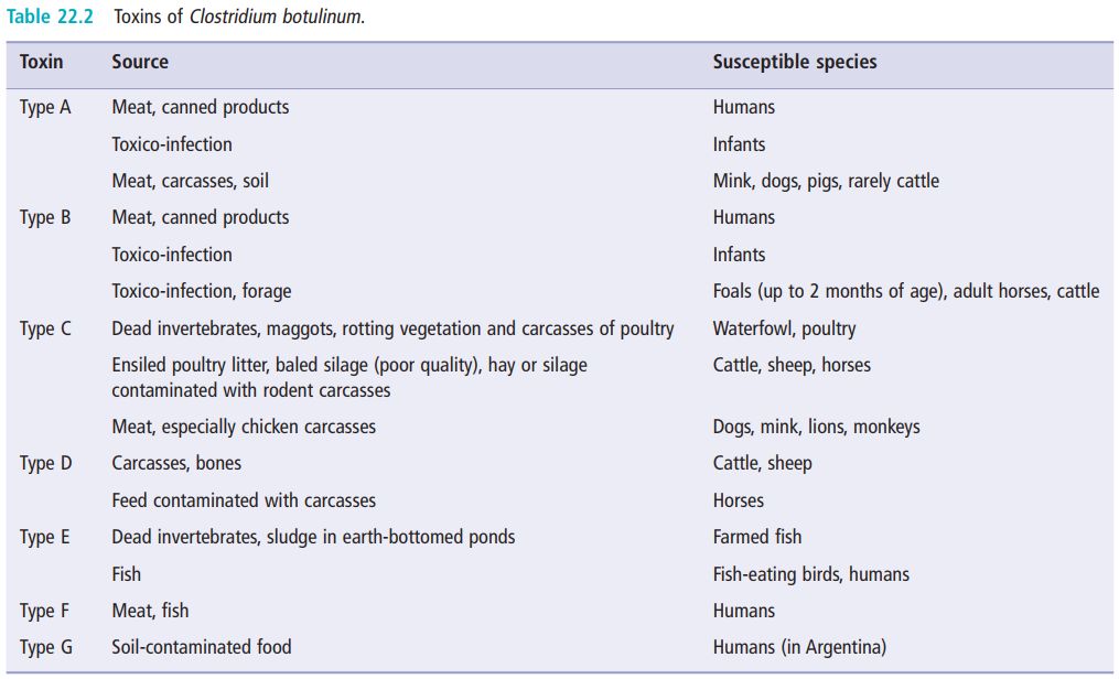 5d137eba2d0aa.jpg#s-1015,616