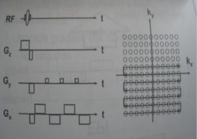 5d1477ef2efec.jpg#s-389,275