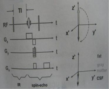 5d14783899f91.jpg#s-371,303