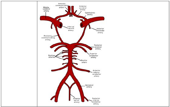 5d15b3ffef5ff.jpg#s-560,352