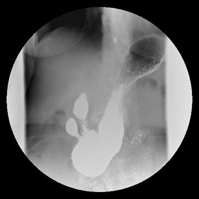 5d15bd7f61282.jpg#s-401,401