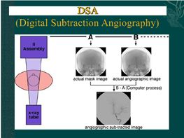 5d15c31a204f3.jpg#s-263,197