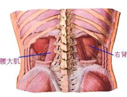 5d16b9ad63b9d.jpg#s-252,193