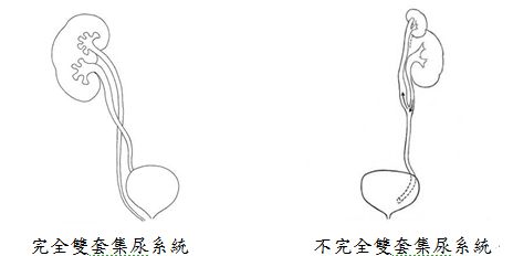 5d16c19828203.jpg#s-464,232