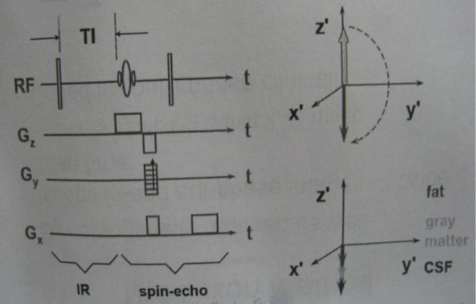5d17076fc506d.jpg#s-684,438