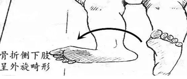 5d18be2febfe9.jpg#s-605,256