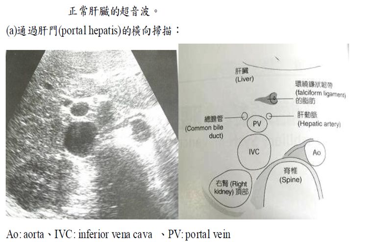 5d18ca0328fcd.jpg#s-763,494