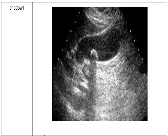 5d18ce3db0f56.jpg#s-565,458