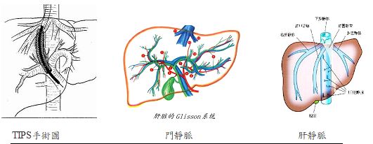 5d19899c1fb9c.jpg#s-531,206