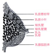 5d198a6f9be4e.jpg#s-192,187