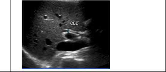 5d19c2bd0c5f2.jpg#s-553,241