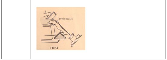 5d1abeced67b1.jpg#s-553,200