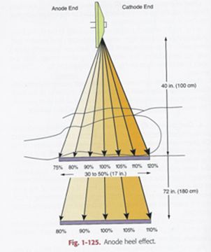 5d1ac7b32321a.jpg#s-302,360