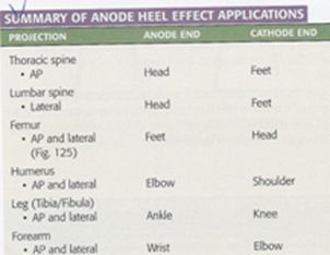 5d1ac7c191afc.jpg#s-302,234