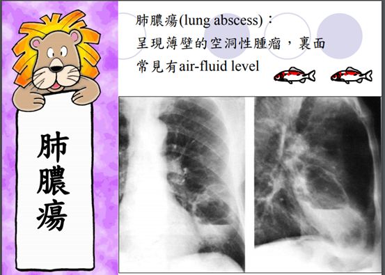 5d1acae3a9d54.jpg#s-553,395