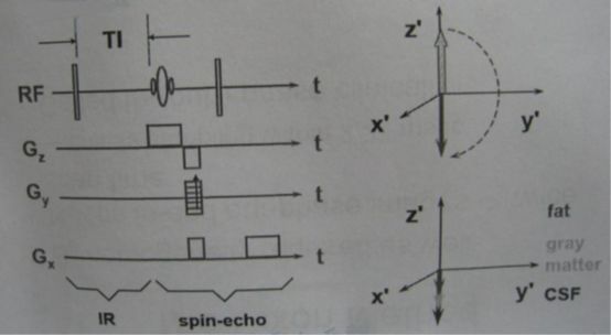 5d1aed48f0d05.jpg#s-554,304