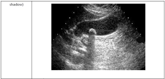 5d1af222649db.jpg#s-553,267