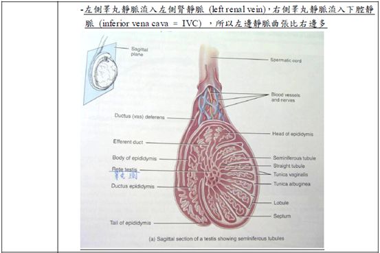 5d1af40796af5.jpg#s-553,369