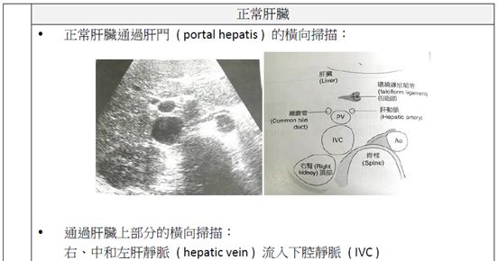 5d1afff814a19.jpg#s-552,290