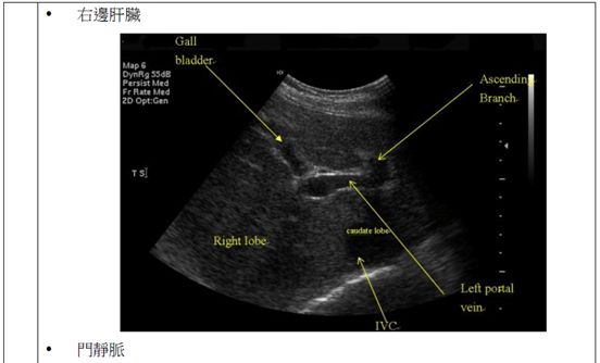 5d1b000f64c3f.jpg#s-552,334