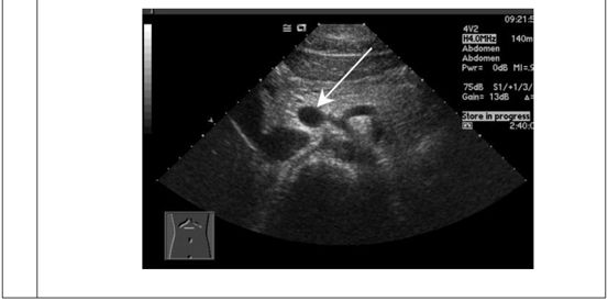 5d1b001aef113.jpg#s-553,274