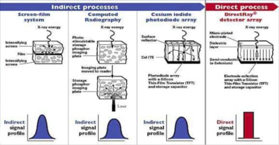 5d1b00ff86853.jpg#s-554,289