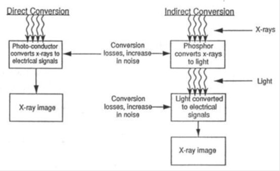 5d1b01112a9f8.jpg#s-554,339