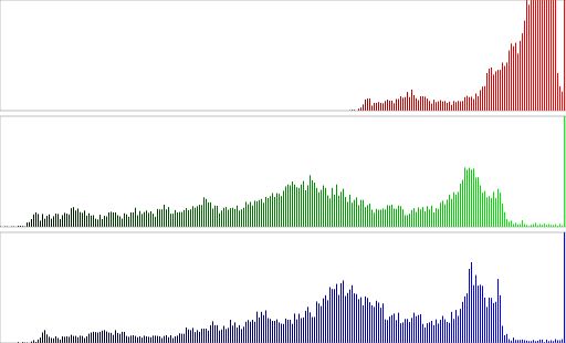 5d1b016829142.jpg#s-512,310