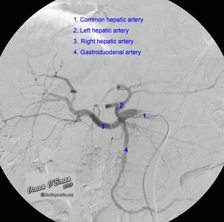 5d1b0328947e1.jpg#s-442,437