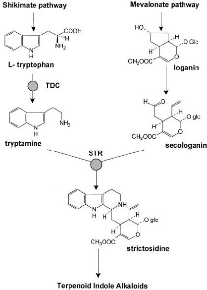 5d1b51b1e63df.jpg#s-418,585