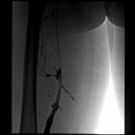 5d1b759896ab5.jpg#s-135,135