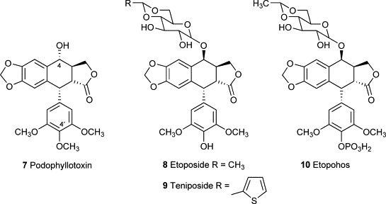 5d1c489e5f159.jpg#s-545,288