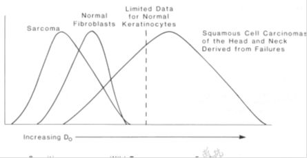 5d1d5e9d58836.jpg#s-445,230