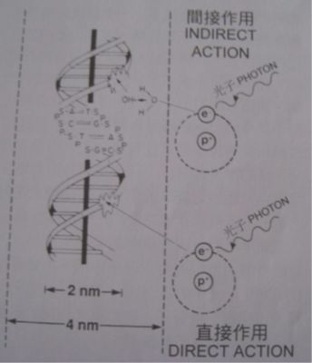 5d1d5f167d9ba.jpg#s-344,400